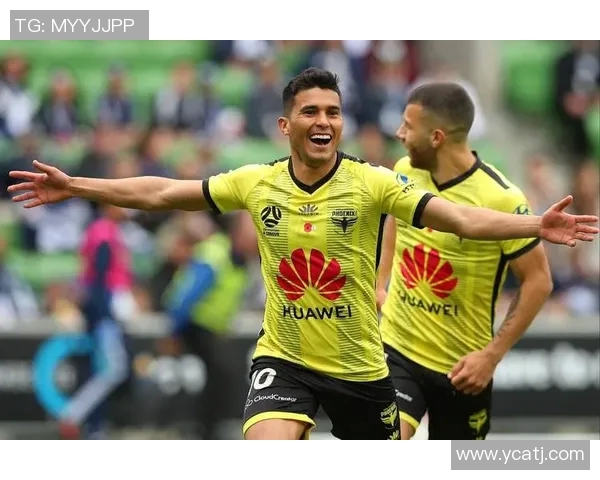 2019年布里斯狮与惠灵顿精彩对决回顾与分析