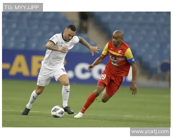 棉农与阿尔艾利的对决：一场关于农业与体育的精彩碰撞