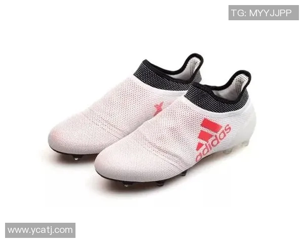 海牙与布雷达的较量结果揭晓谁将赢得这场精彩对决