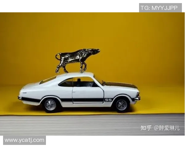 安格斯与波尔多对决深度分析及比赛前瞻策略探讨