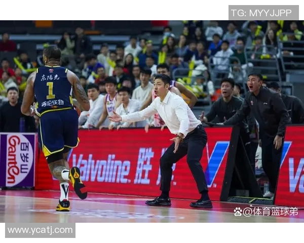 新秀与年轻球员崛起之路探索他们在球队中的重要性与未来潜力