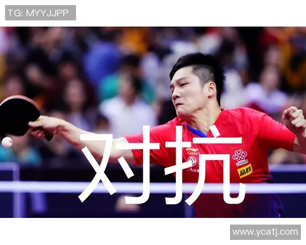 费伦斯主场迎战本菲卡双方争夺积分展现激烈对抗