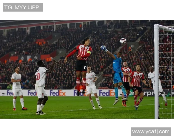 霍芬海姆对阵莱比锡红牛精彩赛事分析与预测