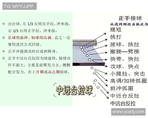 乒乓球深度解析：北京乒乓球队如何在逆境中实现反击与突破