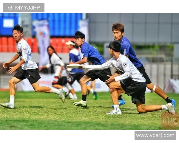 广州飞盘队比赛经验的变革与热议飞盘运动的未来发展探讨MBA