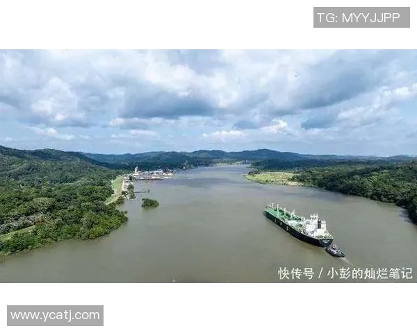 扎卡特与莱昂的激烈对决揭示了足球战术的深层次博弈与精彩瞬间