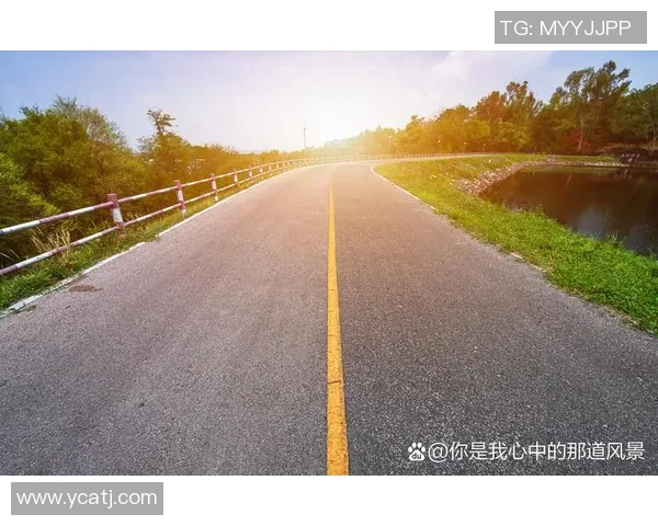 极限运动的背后故事张强分享成功秘诀与挑战经历